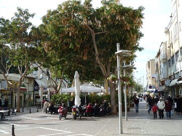 רחוב הרצל בנתניה. (צילום: אבי דרור, וויקפדיה)