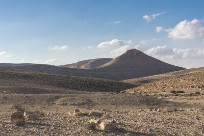 מכרזי קרקעות