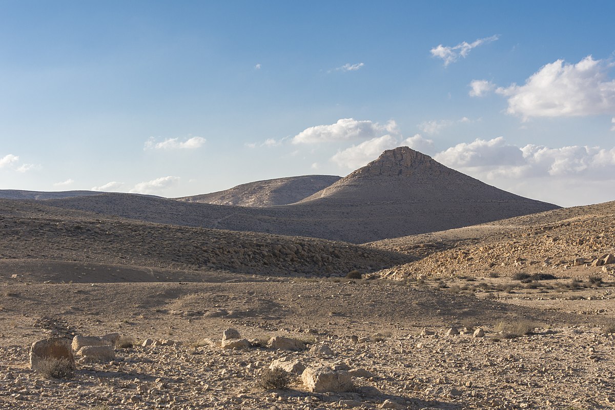מכרזי קרקעות